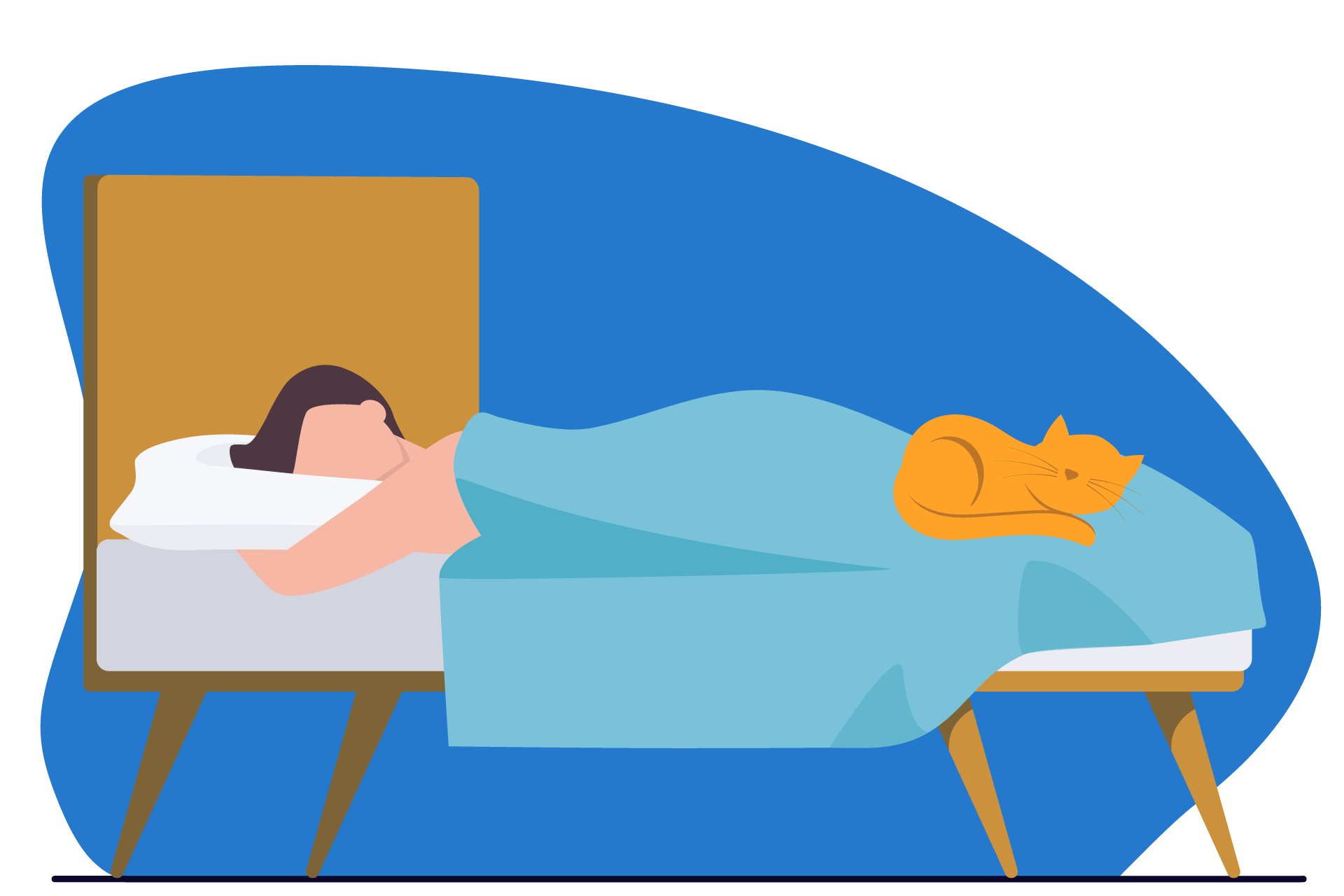 Ilustração de um homem deitado de bruços na cama, ao lado de um gato.